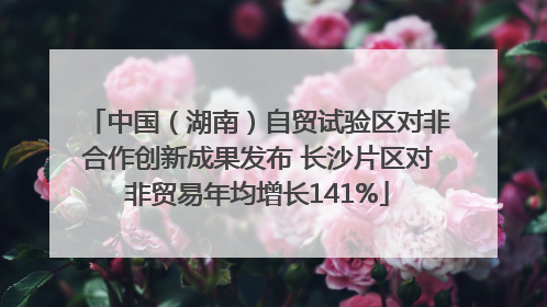 中国（湖南）自贸试验区对非合作创新成果发布 长沙片区对非贸易年均增长141%
