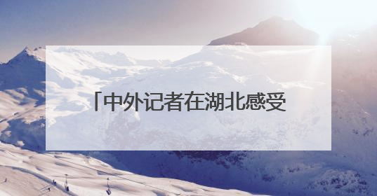 中外记者在湖北感受科技创新澎湃动力