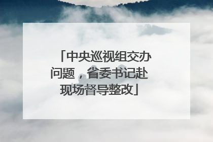中央巡视组交办问题，省委书记赴现场督导整改