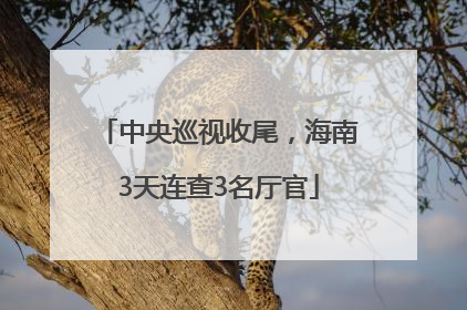 中央巡视收尾，海南3天连查3名厅官