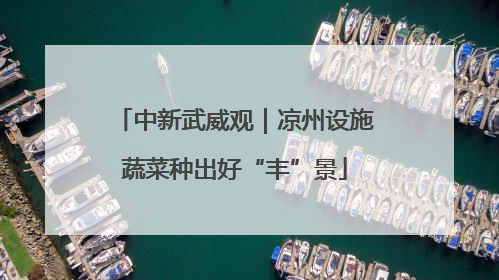 中新武威观｜凉州设施蔬菜种出好“丰”景