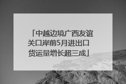 中越边境广西友谊关口岸前5月进出口货运量增长超三成
