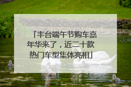 丰台端午节购车嘉年华来了，近二十款热门车型集体亮相