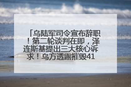 乌陆军司令宣布辞职！第二轮谈判在即，泽连斯基提出三大核心诉求！乌方透露摧毁41架俄战略轰炸机