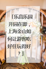 乐高乐园开园在即，上海金山如何让游客吃好住玩得好？