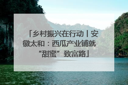 乡村振兴在行动丨安徽太和：西瓜产业铺就“甜蜜”致富路