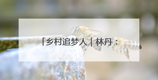 乡村追梦人｜林丹：一块豆腐的产业逆袭