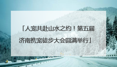 人宠共赴山水之约！第五届济南携宠徒步大会圆满举行