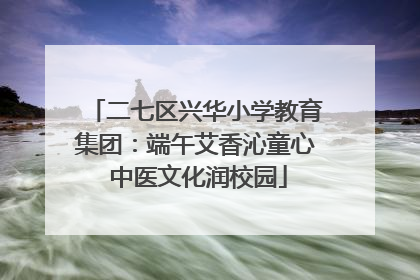 二七区兴华小学教育集团：端午艾香沁童心 中医文化润校园