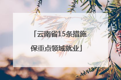 云南省15条措施保重点领域就业