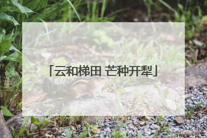 云和梯田 芒种开犁