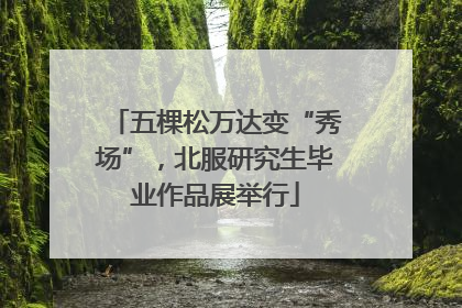 五棵松万达变“秀场”，北服研究生毕业作品展举行