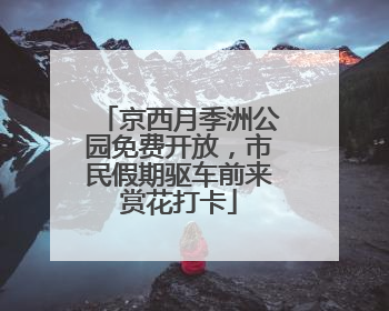 京西月季洲公园免费开放，市民假期驱车前来赏花打卡