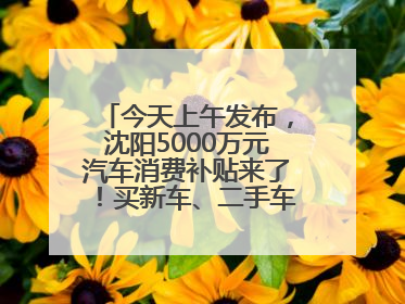 今天上午发布，沈阳5000万元汽车消费补贴来了！买新车、二手车都能领！