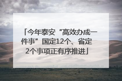 今年泰安“高效办成一件事”国定12个、省定2个事项正有序推进