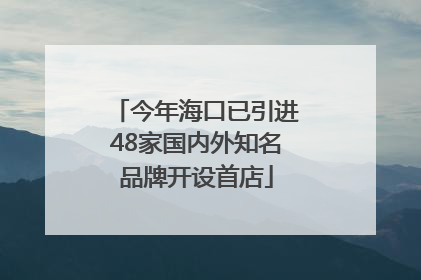 今年海口已引进48家国内外知名品牌开设首店