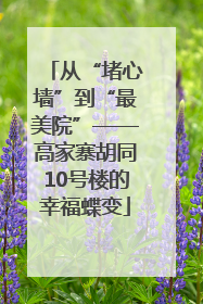 从“堵心墙”到“最美院”——高家寨胡同10号楼的幸福蝶变