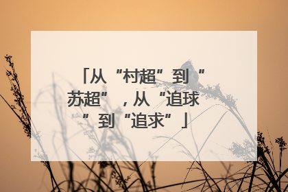 从“村超”到“苏超”，从“追球”到“追求”