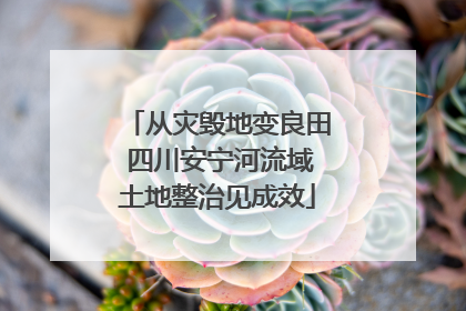 从灾毁地变良田 四川安宁河流域土地整治见成效