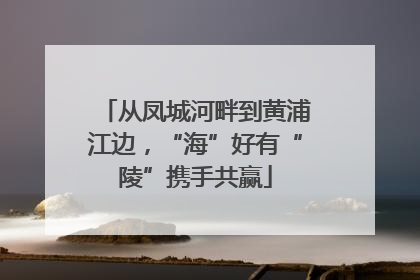 从凤城河畔到黄浦江边，“海”好有“陵”携手共赢