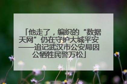 他走了，编织的“数据天网”仍在守护大城平安——追记武汉市公安局因公牺牲民警万松