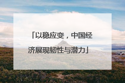 以稳应变，中国经济展现韧性与潜力