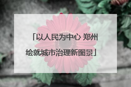 以人民为中心 郑州绘就城市治理新图景