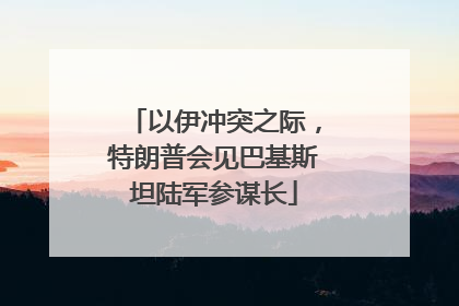 以伊冲突之际，特朗普会见巴基斯坦陆军参谋长