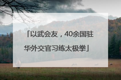 以武会友，40余国驻华外交官习练太极拳