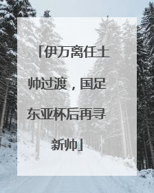 伊万离任土帅过渡，国足东亚杯后再寻新帅