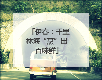 伊春：千里林海“烹”出百味鲜