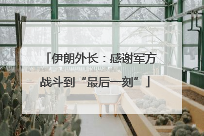 伊朗外长：感谢军方战斗到“最后一刻”