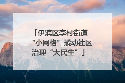 伊滨区李村街道 “小网格”撬动社区治理“大民生”