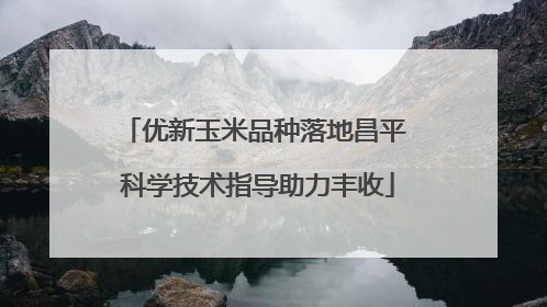优新玉米品种落地昌平 科学技术指导助力丰收