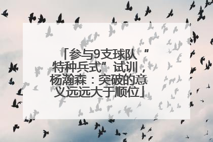 参与9支球队“特种兵式”试训，杨瀚森：突破的意义远远大于顺位