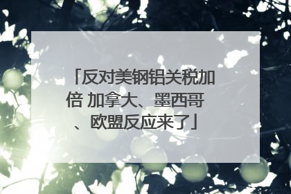 反对美钢铝关税加倍 加拿大、墨西哥、欧盟反应来了