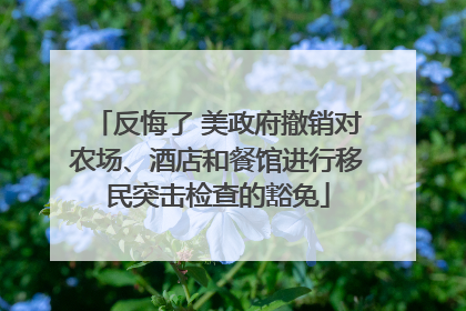 反悔了 美政府撤销对农场、酒店和餐馆进行移民突击检查的豁免