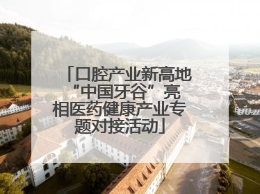 口腔产业新高地 “中国牙谷”亮相医药健康产业专题对接活动