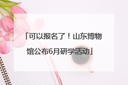 可以报名了！山东博物馆公布6月研学活动