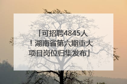可招聘4845人！湖南省第六期重大项目岗位归集发布