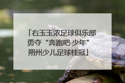 右玉玉浓足球俱乐部勇夺“奔跑吧·少年”朔州少儿足球桂冠