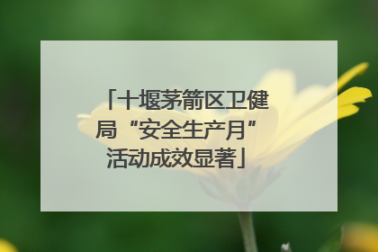 十堰茅箭区卫健局“安全生产月”活动成效显著