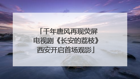 千年唐风再现荧屏 电视剧《长安的荔枝》西安开启首场观影