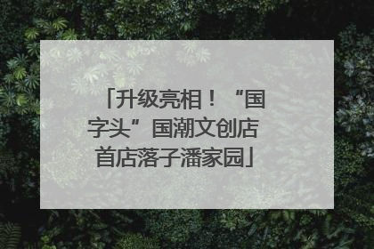 升级亮相！“国字头”国潮文创店首店落子潘家园