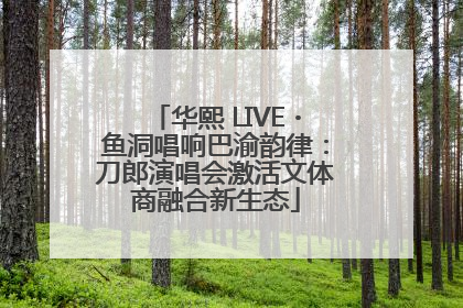 华熙 LIVE・鱼洞唱响巴渝韵律：刀郎演唱会激活文体商融合新生态