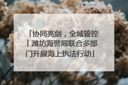 协同亮剑，全域管控丨潍坊海警局联合多部门开展海上执法行动