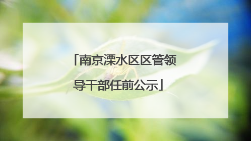 南京溧水区区管领导干部任前公示