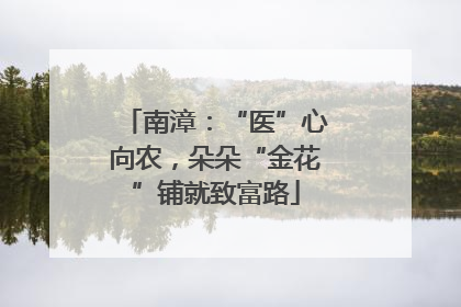 南漳：“医”心向农，朵朵“金花”铺就致富路
