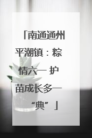 南通通州平潮镇：粽情六一 护苗成长多一“典”