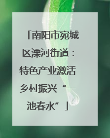 南阳市宛城区溧河街道：特色产业激活乡村振兴“一池春水”